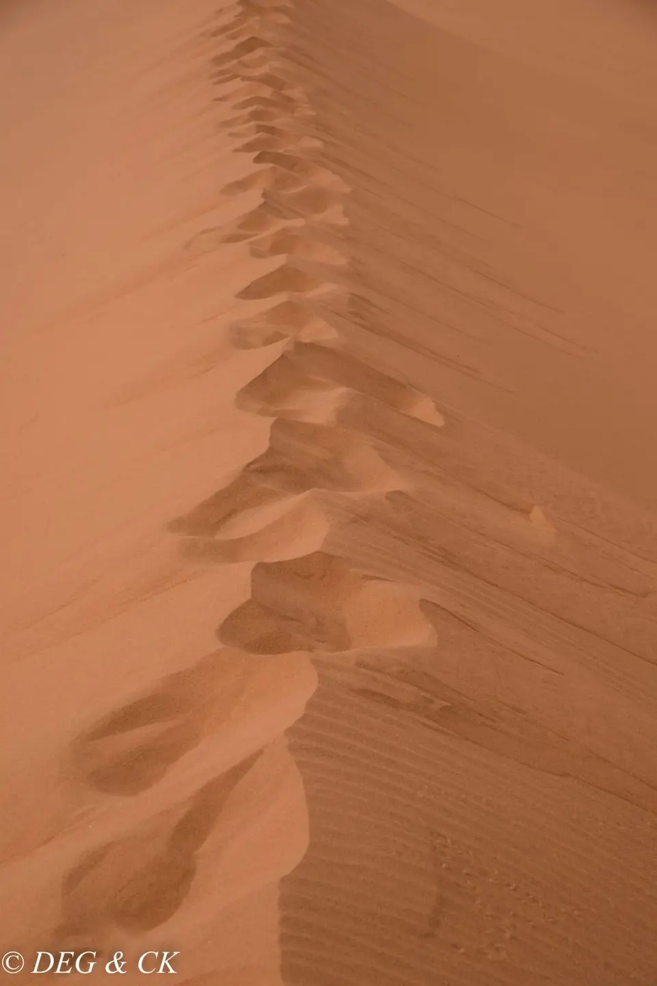 NFX_3237.jpg