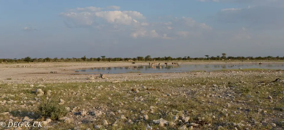 NFX_4285.jpg