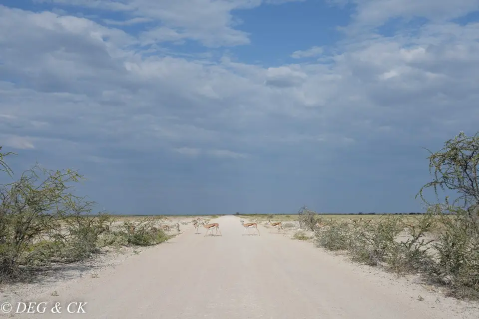 NFX_4358-2.jpg
