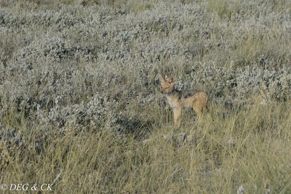 NFX_4547.jpg