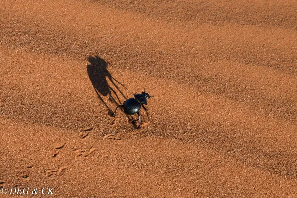 Namibia(23von7).jpg