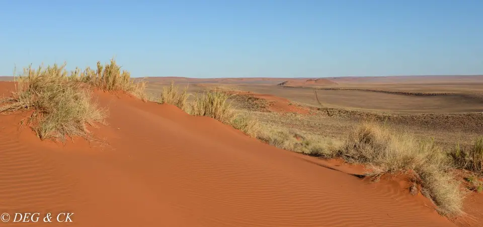 Namibia(30von5).jpg