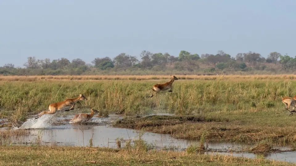 PA110776.jpg