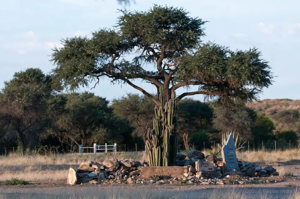 0005b_namibiaWST_3093-2.jpg