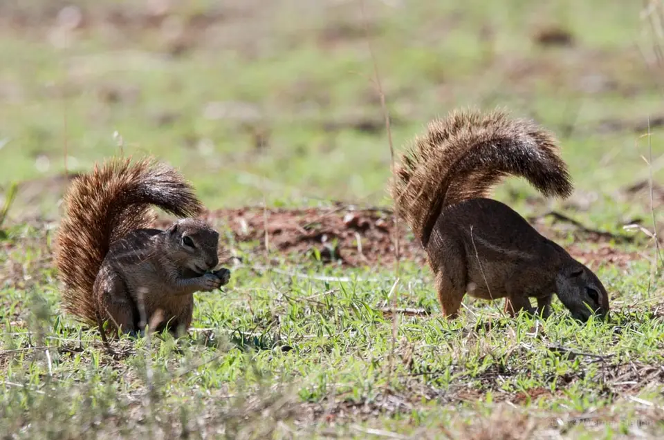 0006_namibiaWST_6226-2.jpg