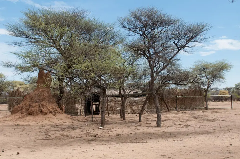 0036c_namibiaWST_9564-2-2.jpg