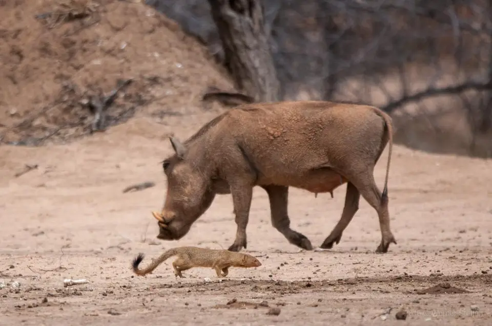 0036d_namibiaWST_6464-2-2.jpg