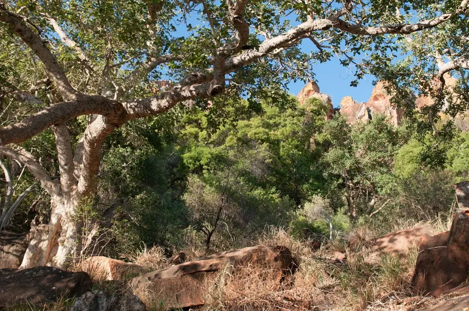 0045a_namibiaWST_9606-2.jpg