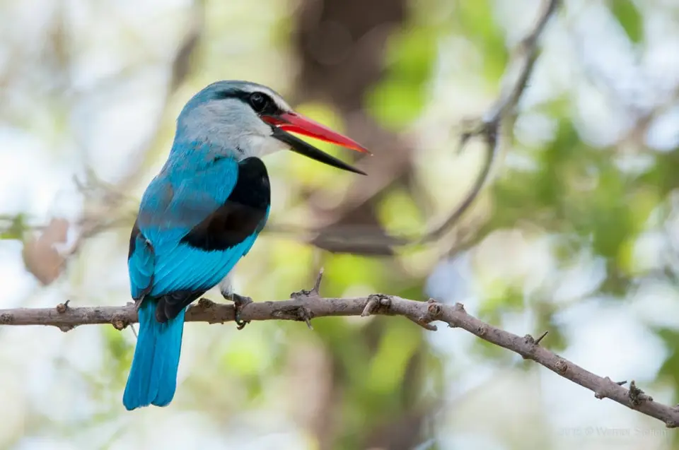 0098c_namibiaWST_6886-2.jpg
