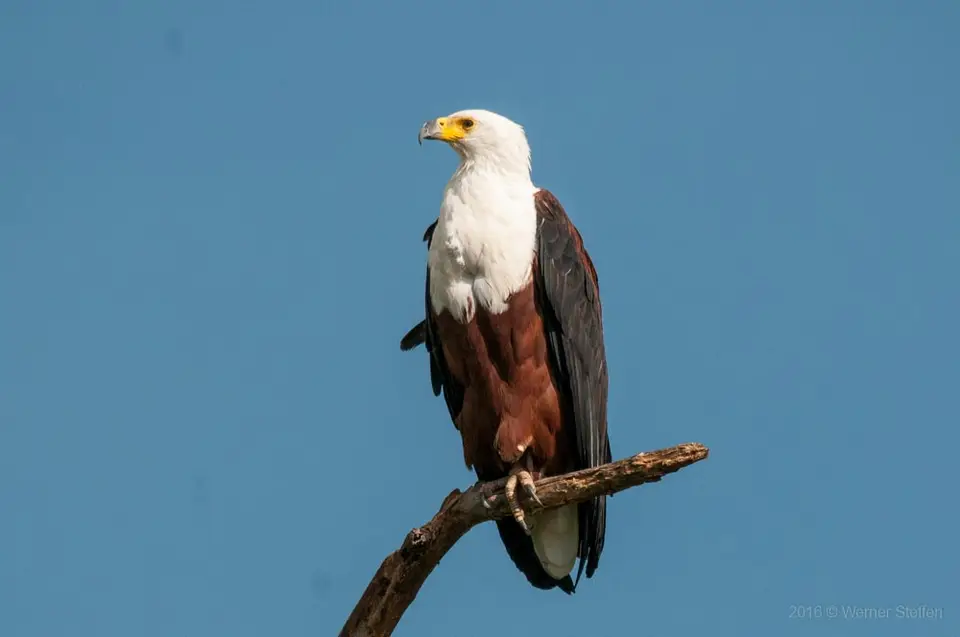 0202namibiaWST_8382-2.jpg
