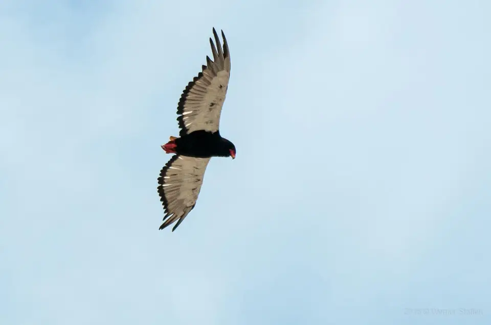 0214a_namibiaWST_9063-2.jpg