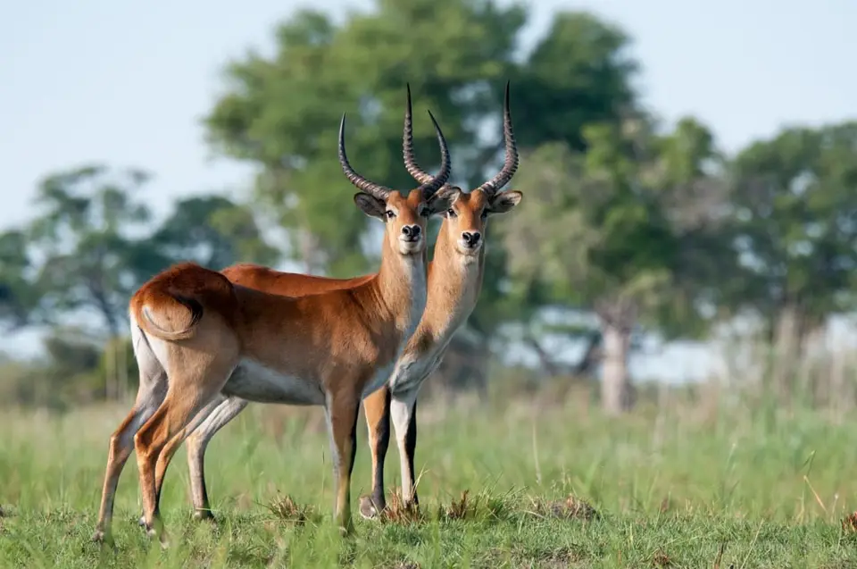 0221a_namibiaWST_9229-2.jpg