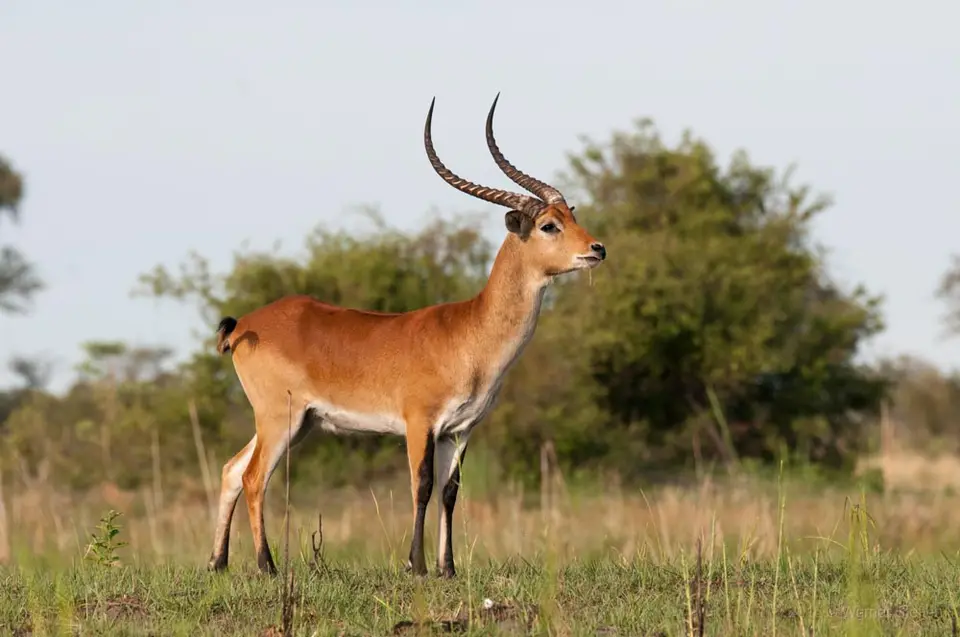 0222b_namibiaWST_9236-2.jpg