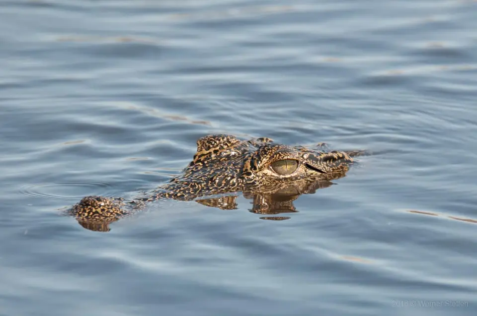 0232namibiaWST_9436-2.jpg