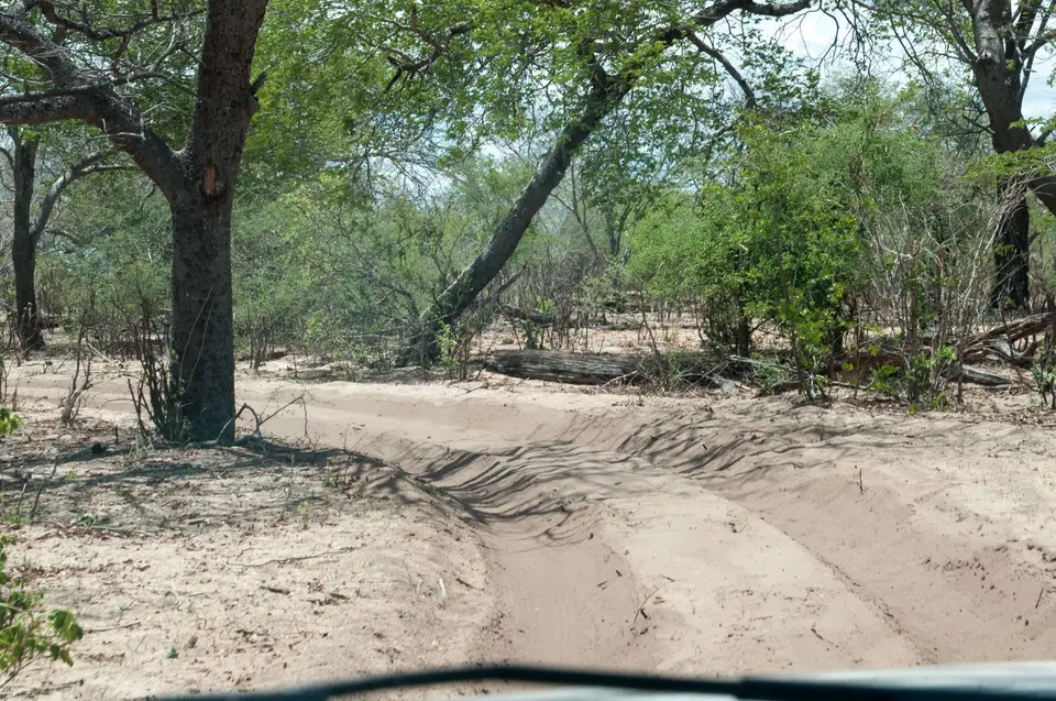 0234b_namibiaWST_9965.jpg