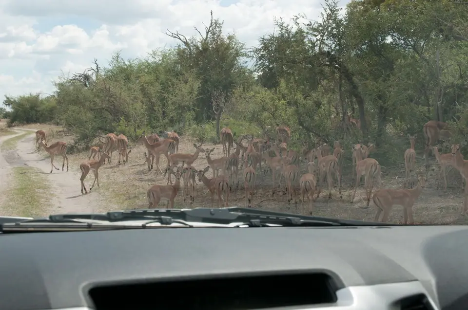 0239namibiaWST_9991.jpg