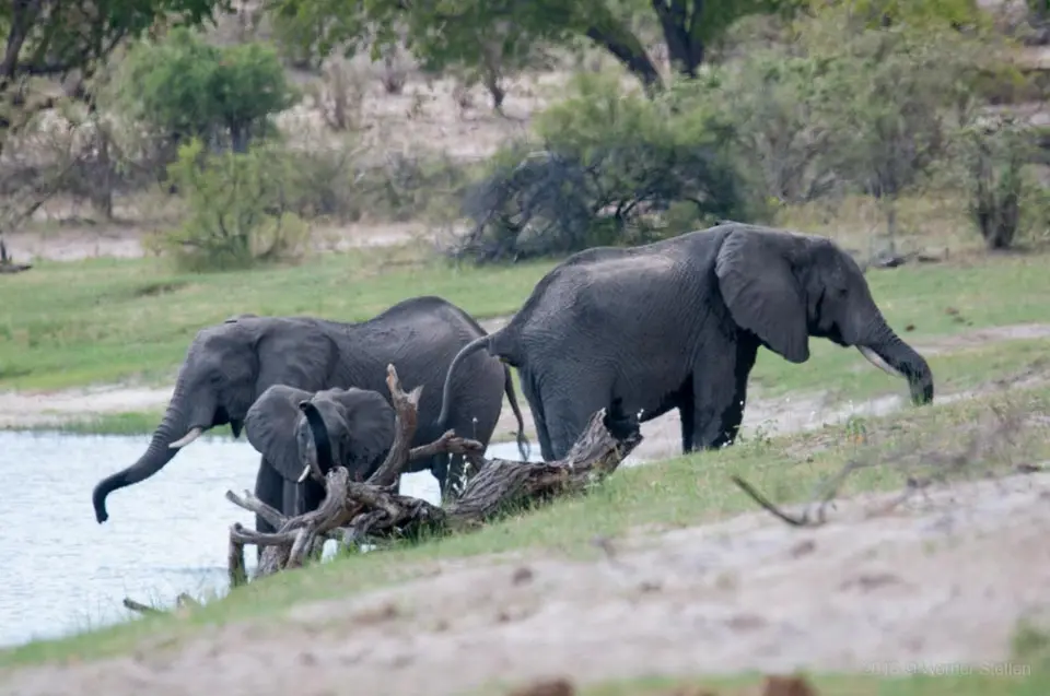 0243namibiaWST_9584-2.jpg