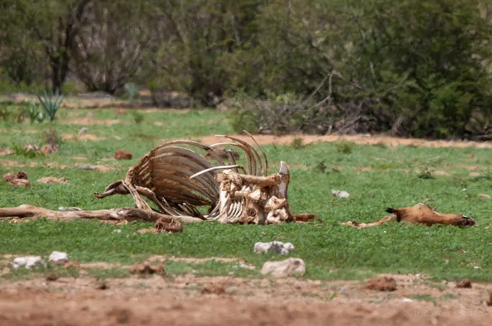0325namibiaWST_0410-2.jpg