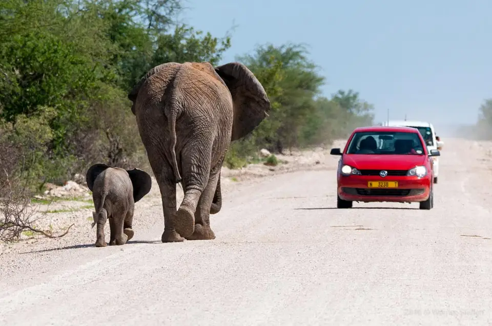 0330namibiaWST_0466-2.jpg
