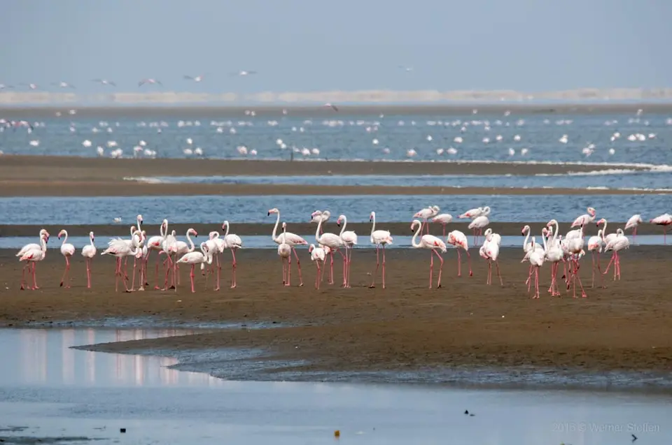 0507c_namibiaWST_2078-2.jpg