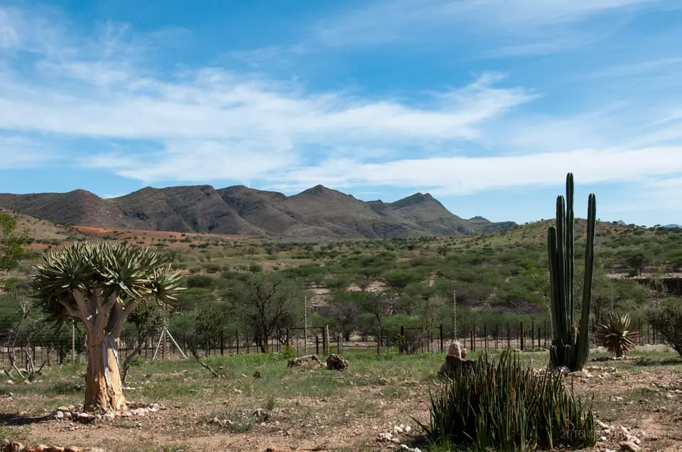0586_namibiaWST_1307-2.jpg