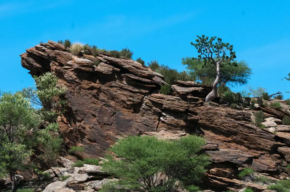 0586a_namibiaWST_2990-2.jpg