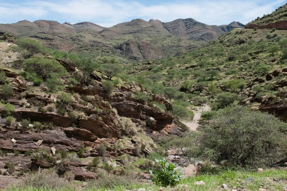 0590namibiaWST_1323-2.jpg