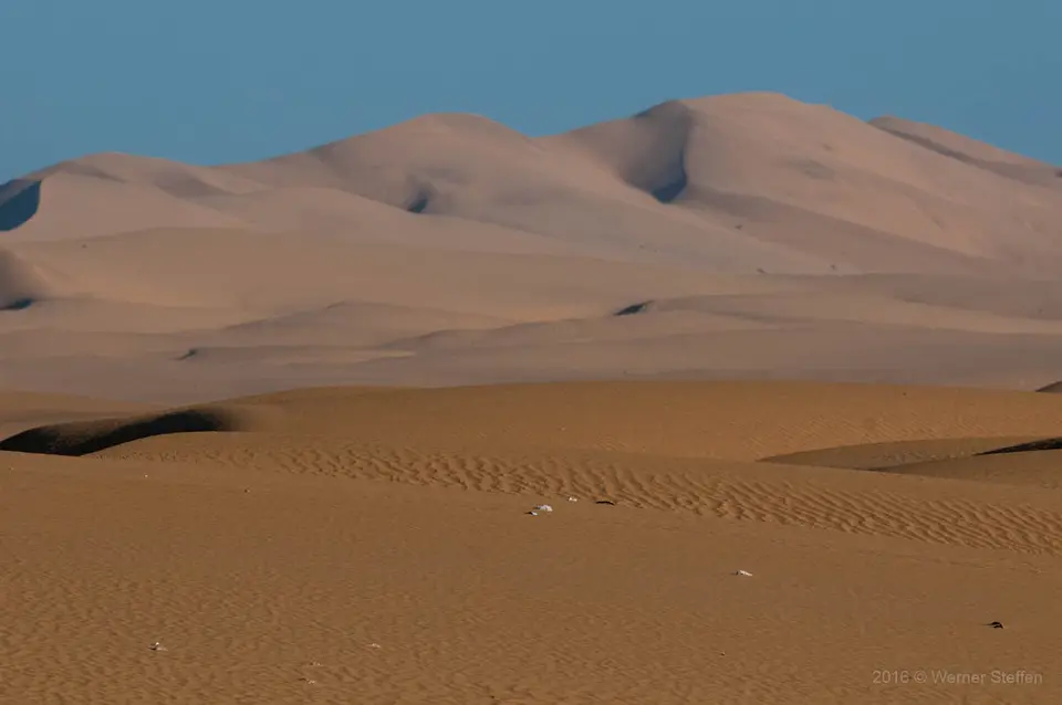 WST_2886.jpg