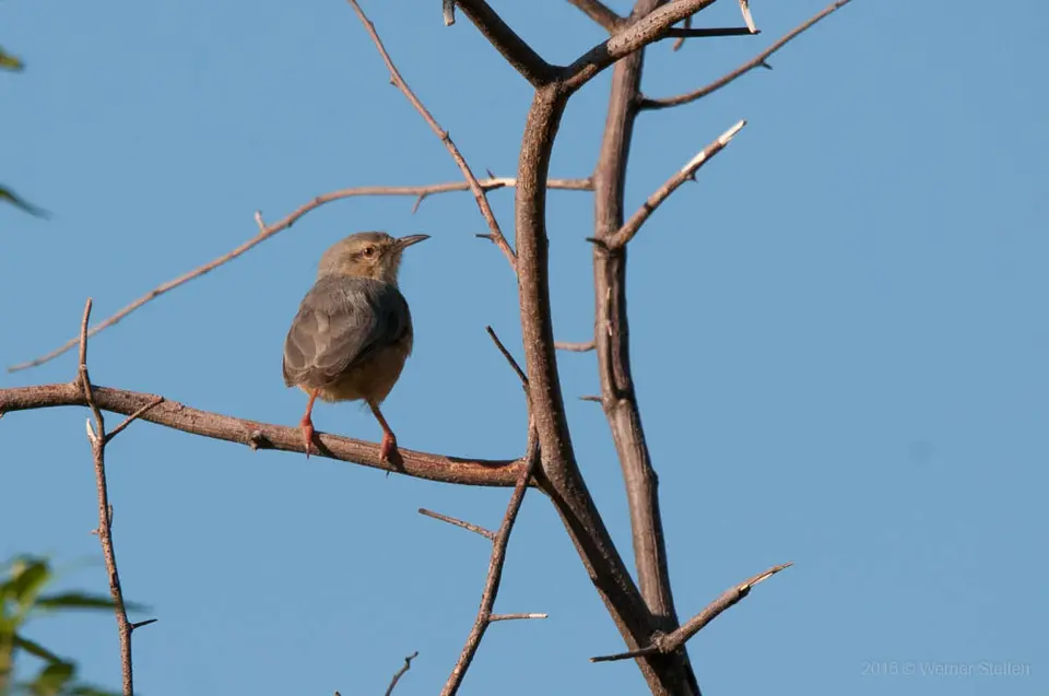 WST_7799.jpg