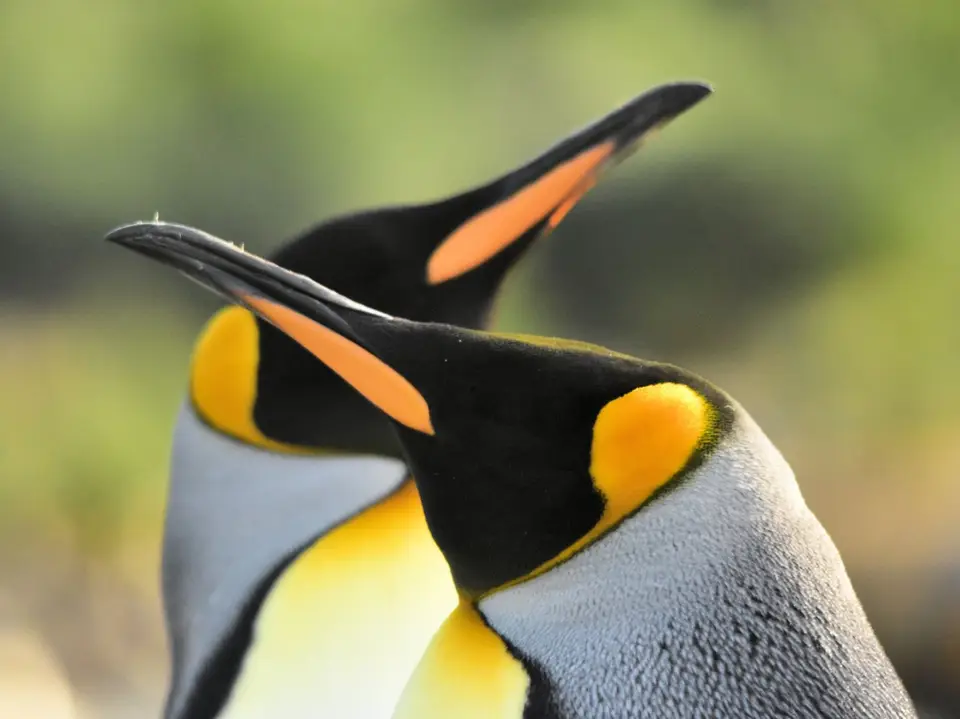 15153537-18F7-45B8-B468-DDA35A773F44.jpeg