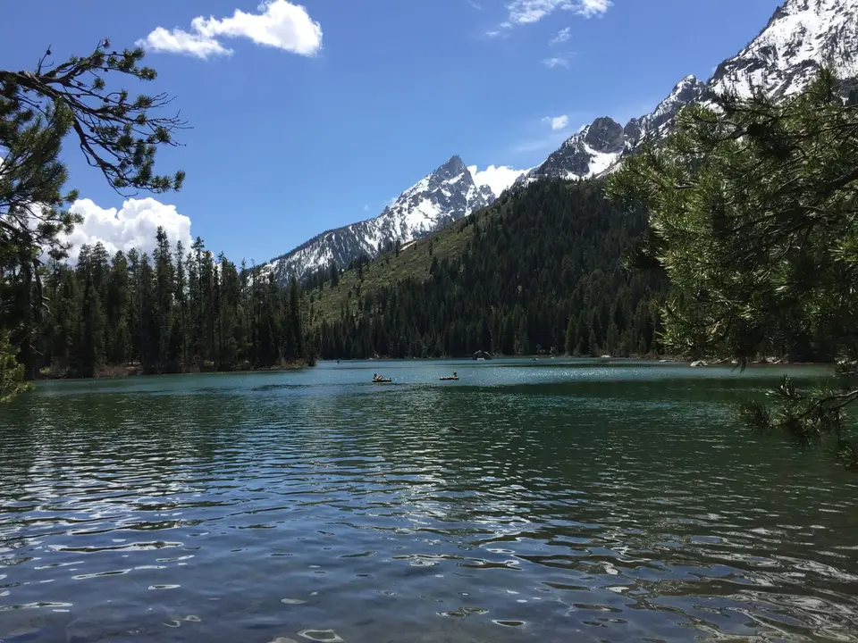 3F632468-49DB-4F29-948A-49C2E7CA11DF.jpeg