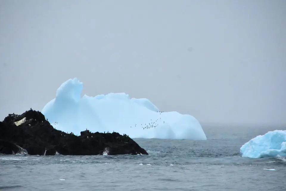 B48E7FA0-4121-4235-9E6F-B2353A556DAF.jpeg