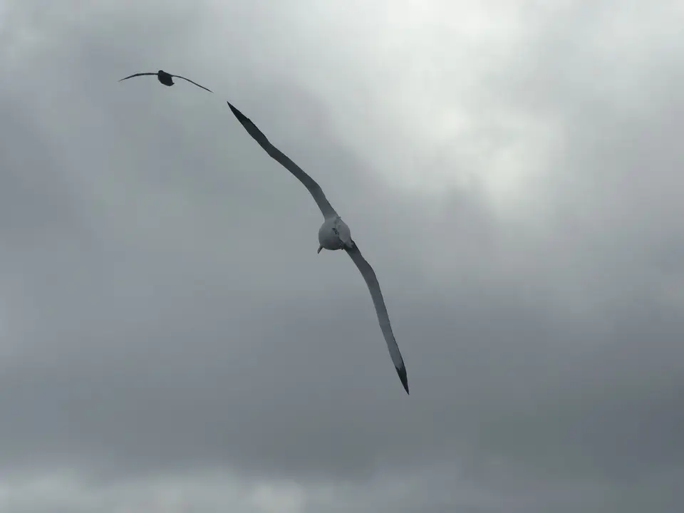 C7E4AA94-533C-4FD7-9263-14E2EB1C3B7F.jpeg