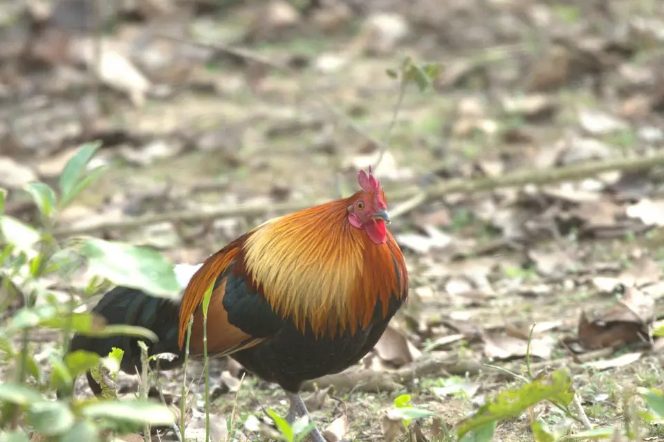 DSC_5412.jpg