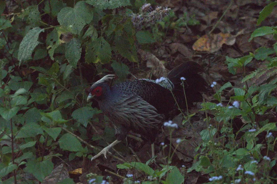 DSC_5941.jpg
