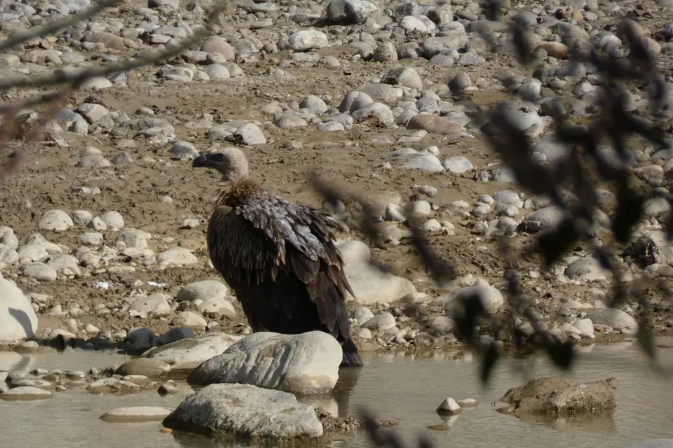 P1090462-2.JPG