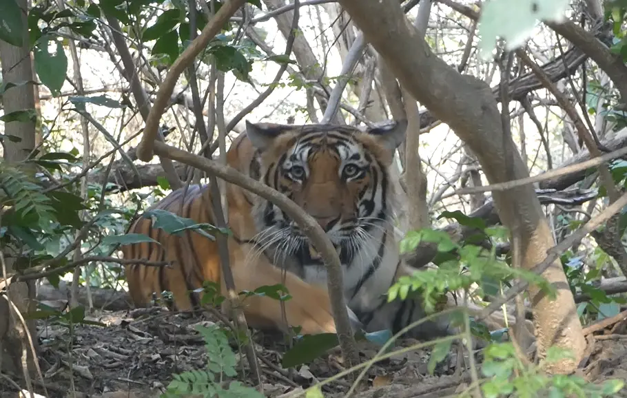 Screenshot2024-05-01214229.png