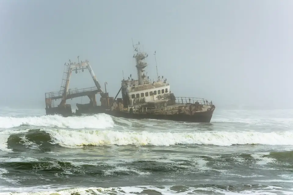 D71_1252.jpg