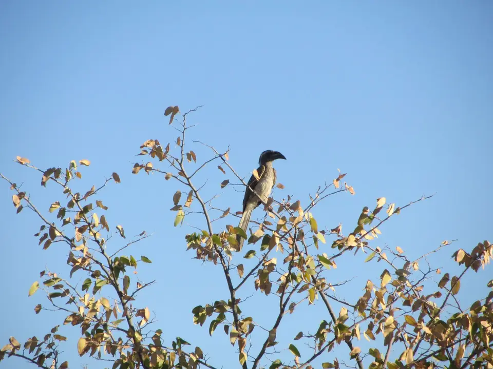 IMG_5543.JPG