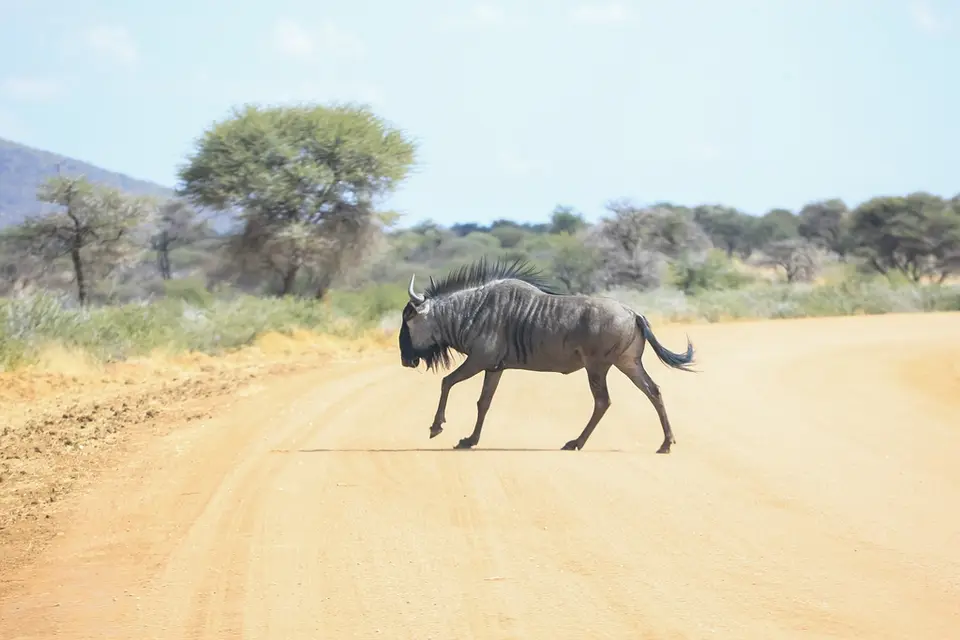 Namibia01,2016-49.jpg