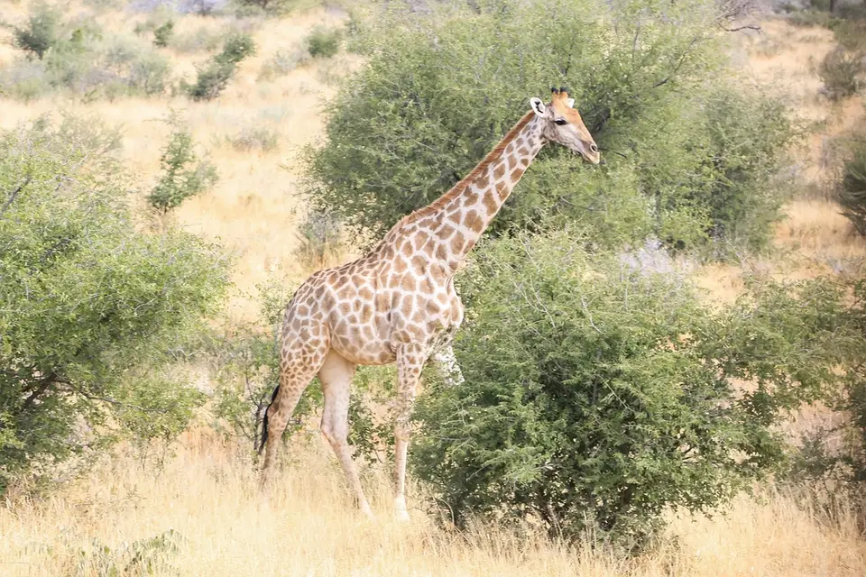 Namibia01,2016-55.jpg