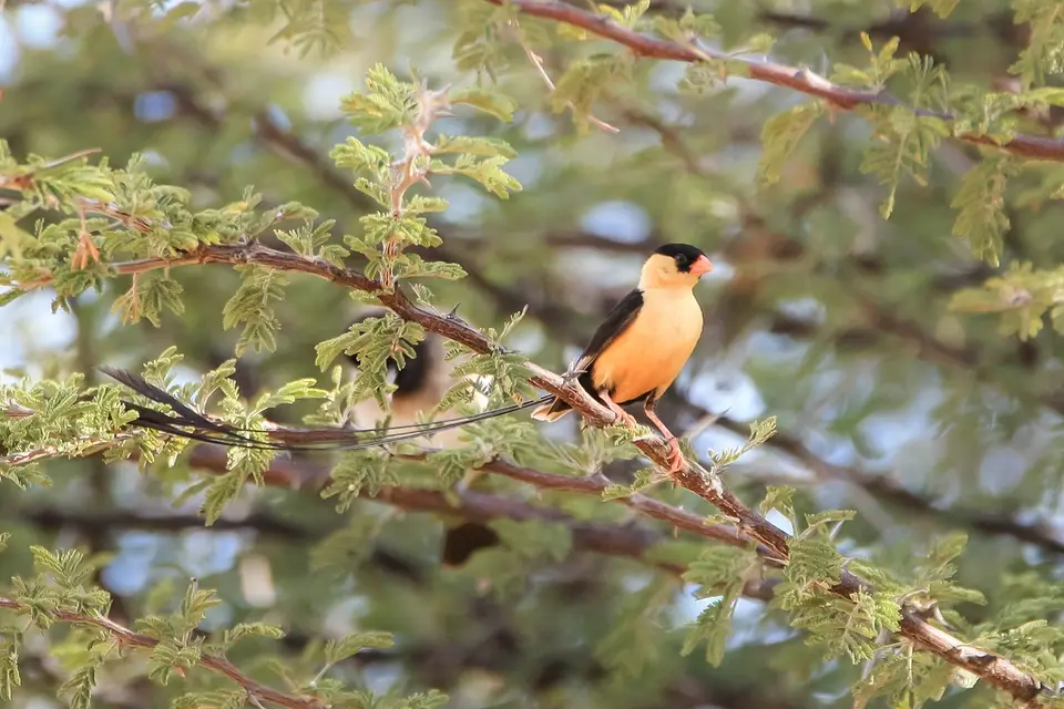 Namibia01,2016-79.jpg