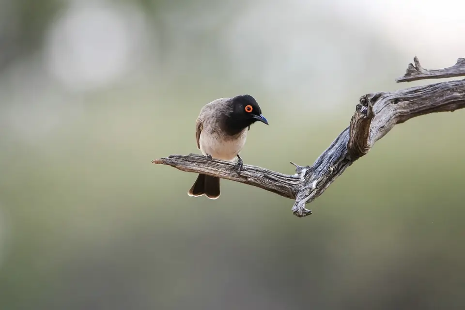 Namibia01,2016-87.jpg