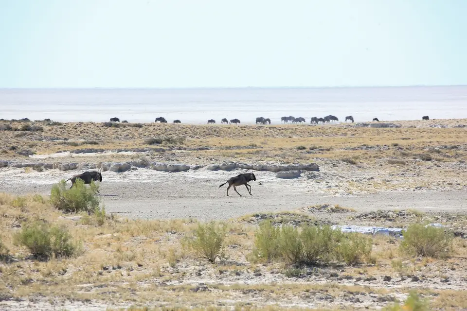 Namibia02-1039.jpg