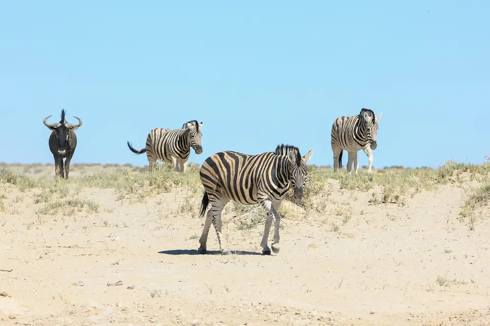 Namibia02-1043.jpg