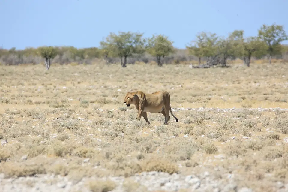 Namibia02-1075.jpg