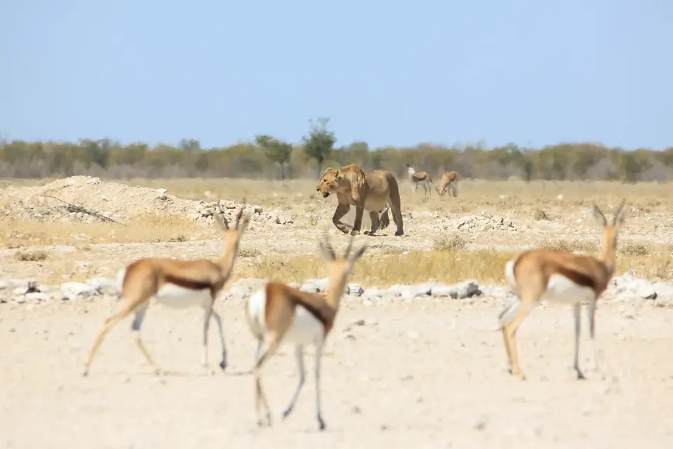 Namibia02-1086.jpg