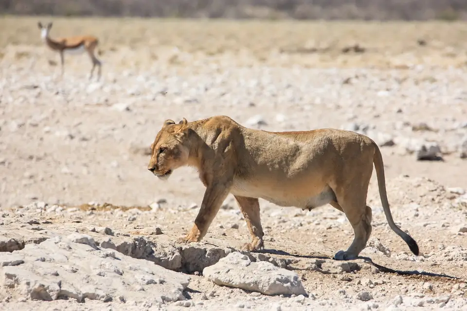 Namibia02-1092.jpg