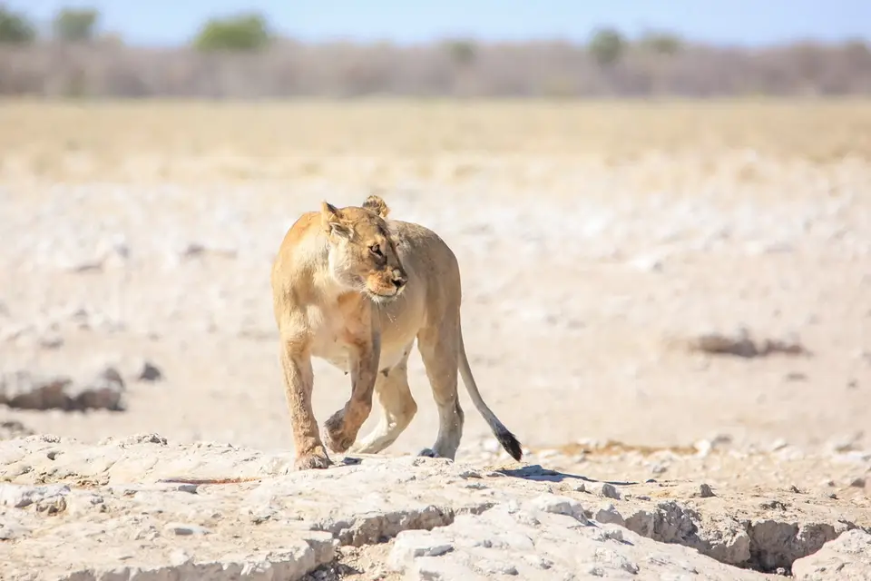 Namibia02-1121.jpg