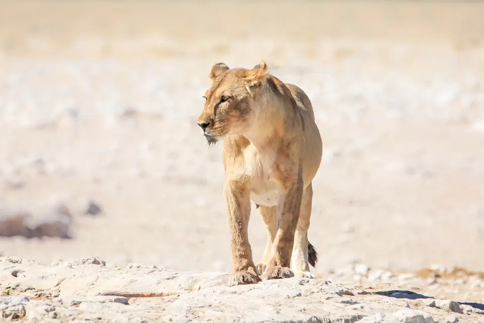 Namibia02-1128.jpg